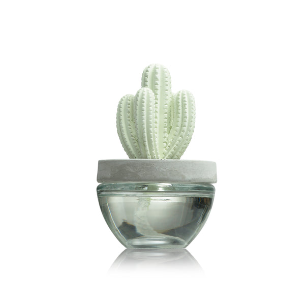 Cactus Fragrance Diffuser Set 6047-Cutting Grass 100ml