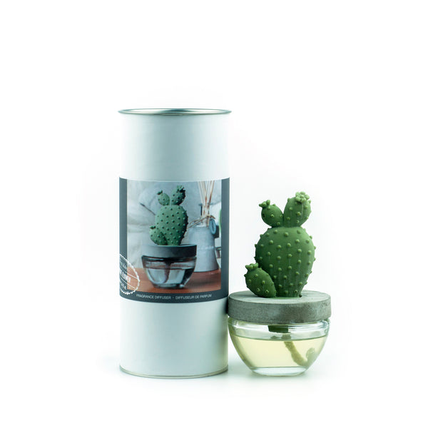 Cactus Fragrance Diffuser Set 6047-White Flower 100ml
