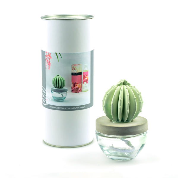 Barrel Cactus Ceramic Flower Fragrance Diffuser Combo Rose Petals 200ml DFC-BRL-9134