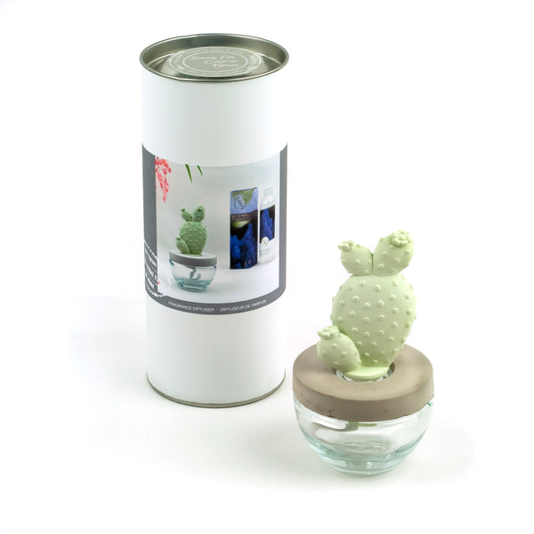 Bunny Ear Cactus Ceramic Flower Fragrance Diffuser Combo Lily Of The Valley 200ml DFC-BNY-9134