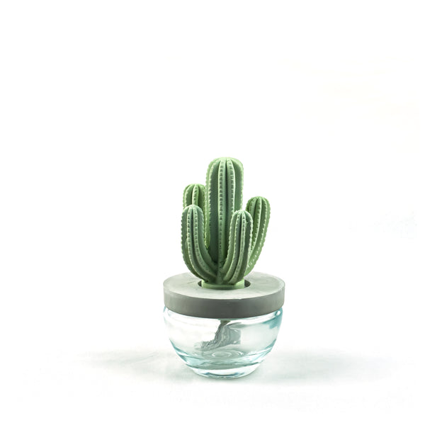 Cactus Ceramic Flower Fragrance Diffuser Set Bluebell Rain 200ml DFC-CAC-1314
