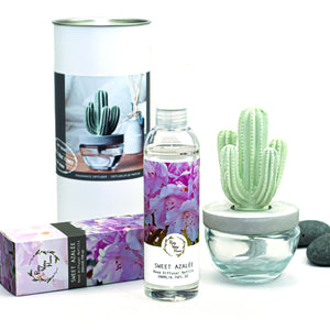 Pretty Valley Home Room Fragrance Cactus Diffuser Set Sweet Azalee 200ml DFC-CAC-1314