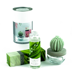 Barrel Cactus Ceramic Flower Fragrance Diffuser Combo Cutting Grass 200ml DFC-BRL-9134