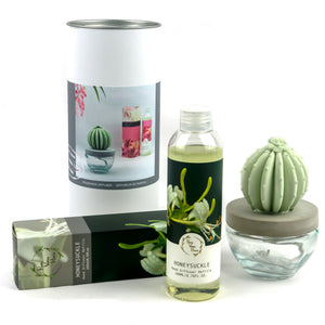 Barrel Cactus Ceramic Flower Fragrance Diffuser Combo Honeysuckle 200ml DFC-BRL-9134