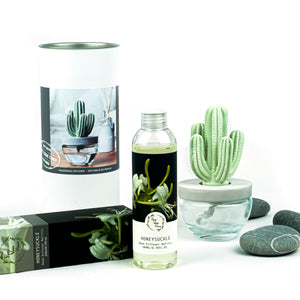 Cactus Ceramic Flower Fragrance Diffuser Set Honeysuckle 200ml DFC-CAC-1314