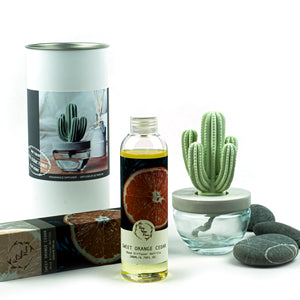 Cactus Ceramic Flower Fragrance Diffuser Set Sweet Orange Cedar 200ml DFC-CAC-1314