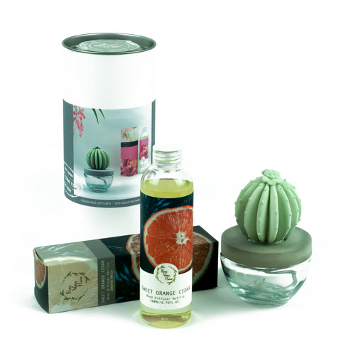 Barrel Cactus Ceramic Flower Fragrance Diffuser Combo Sweet Orange Cedar 200ml DFC-BRL-9134