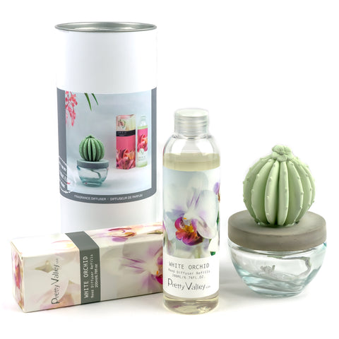 Barrel Cactus Ceramic Flower Fragrance Diffuser Combo White Orchid 200ml DFC-BRL-9134