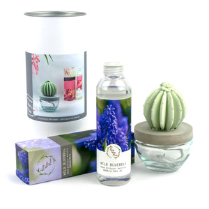 Barrel Cactus Ceramic Flower Fragrance Diffuser Combo Wild Bluebell 200ml DFC-BRL-9134
